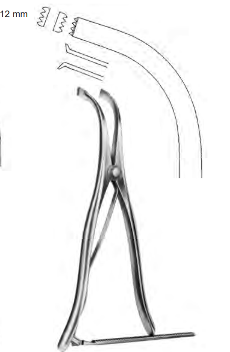 Product Spectrum Inge Retractor, 10.75" (27cm), Standard, 4x4 Teeth, Ratchet | SAH.25-7143 Image