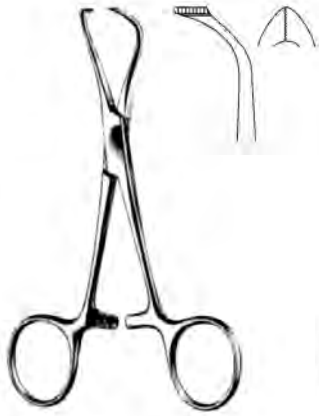 Product Spectrum Lorna (Edna) Towel Forcep, 4.5", Non-Perforating | SAH.60-2291 Image
