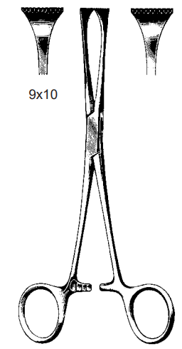 Product Spectrum Allis-Adair Tissue Forcep, 6" (15.5cm), 9x10 Teeth | SAH.60-2342 Image