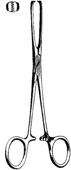 Product Spectrum Allis Tissue Forcep, 6", 5x6 Teeth | SAH.60-3861 Image