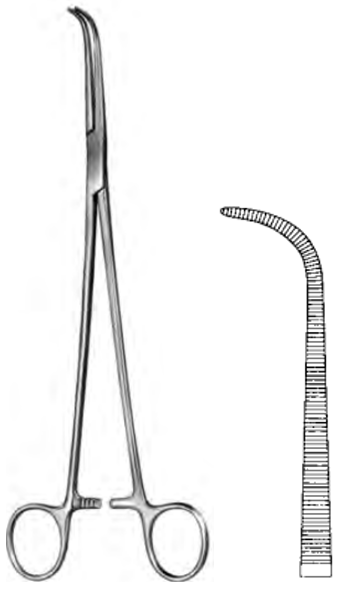 Product Spectrum Gemini Forcep, 10", Full Curve | SAH.60-4527 Image