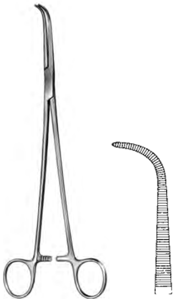 Product Spectrum Gemini Forcep, 8", Full Curve | SAH.60-4622 Image