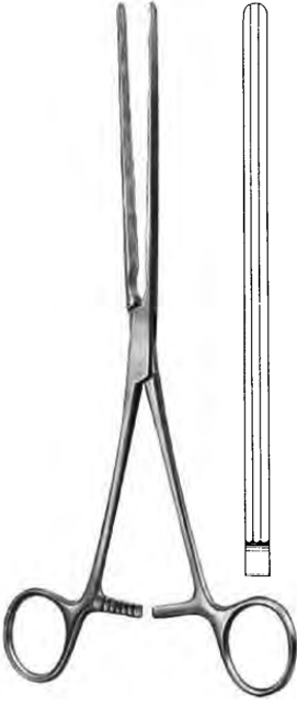 Product Spectrum Kocher Intestinal Forcep, 10" (25cm), Straight, Longitudinal Serrations | SAH.60-5223 Image