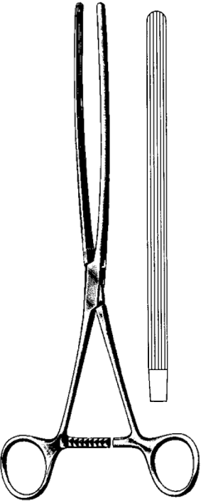 Product Spectrum Mayo-Robson Forcep, 10", Straight Longitudinal Serrations | SAH.60-6011 Image