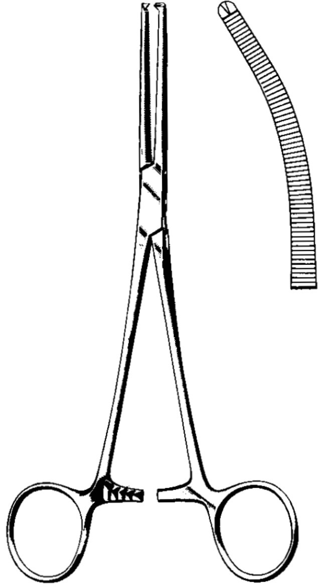 Product Spectrum Rochester-Ochsner Forcep, 10.25" (26cm), Curved, 1x2 Teeth | SAH.60-6131 Image