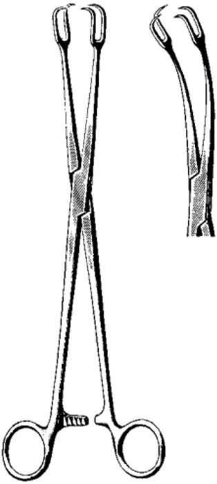 Product Spectrum Schroeder Tenaculum Vulsellum Forcep, 9.5in., 2x2 Prong Teeth, Curved | SAH.700011 Image