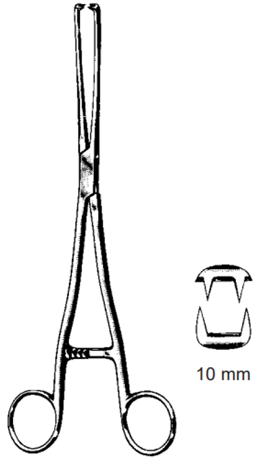 Product Spectrum Museux Tenaculum Vulsellum Forcep, 9.5in., 2x2 Teeth, 10mm Jaw Width, Straight | SAH.700014 Image