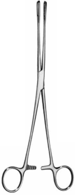 Product Vet Spectrum Foerster Forcep, 10" (25cm), Curved, Serrated, Narrow Jaw | SAH.700045 Image
