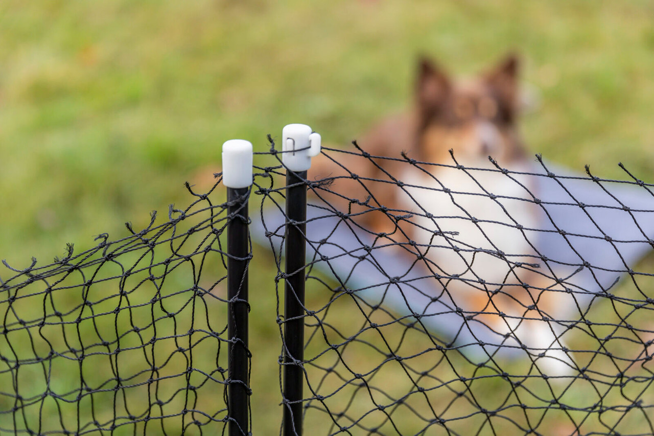 Mobile Dog Fence, Dog Fence For Camping