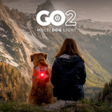 EzyDog GO2 Dog Collar Light