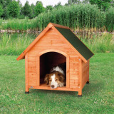 Traditional Dog Kennel