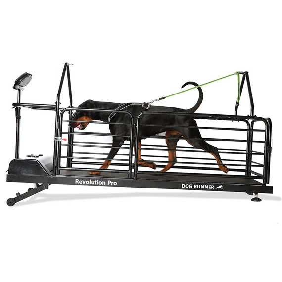 Dog Runner Revolution Pro - Treadmill For Dogs