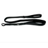 Twiggy Tags Adventure Lead with Close Control Handle - Petrichor