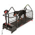 Dog Runner Ortho Pro - Dog Treadmill