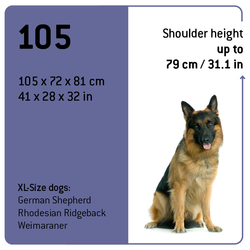 XL size dogs