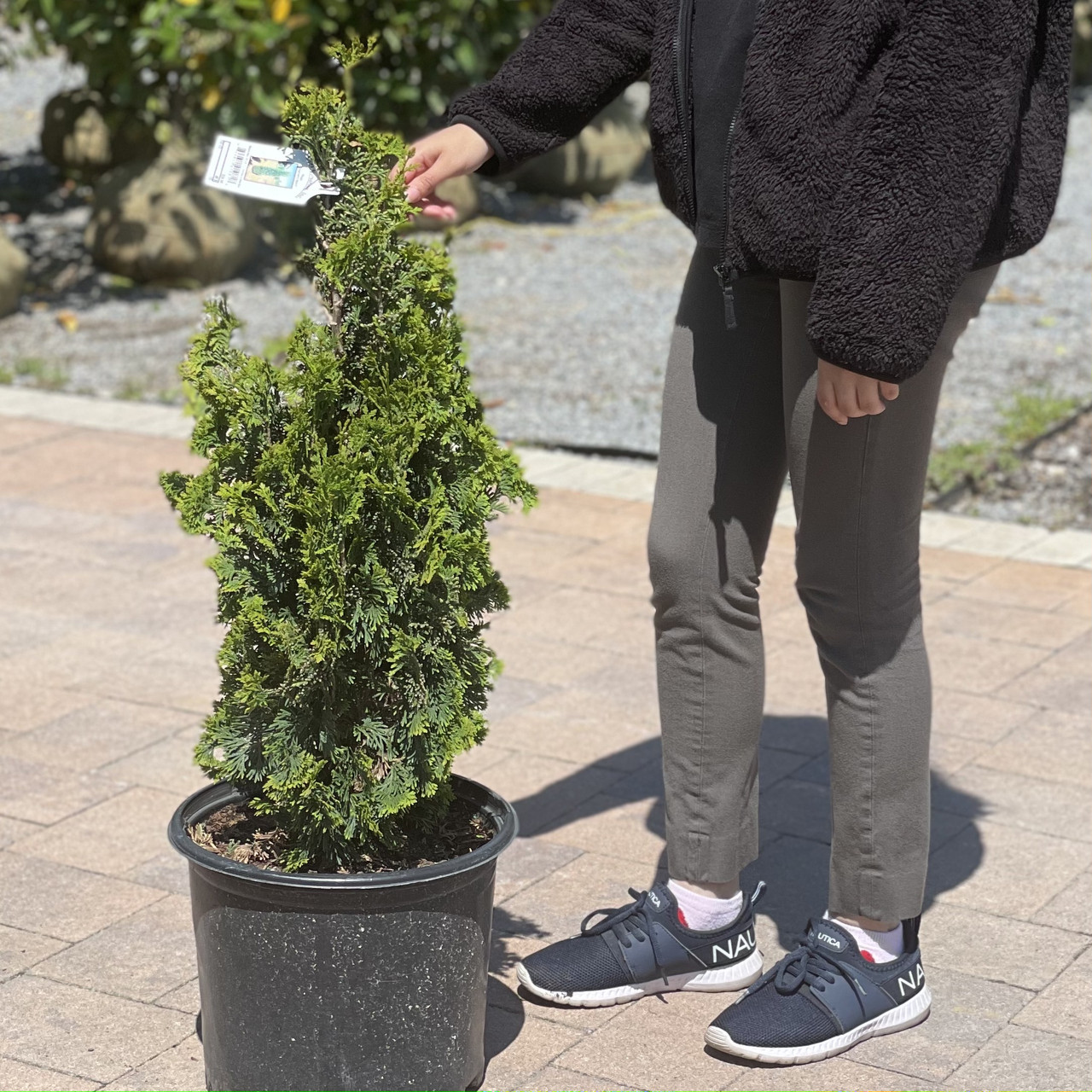 ARB DEGROOT SPIRE 3G