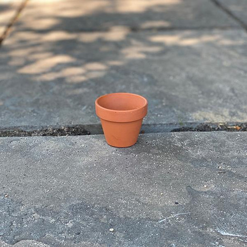 Standard Clay CLAY POT 3 IN 