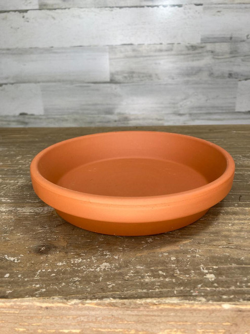 Clay Saucer SAUCER CLAY 8IN 