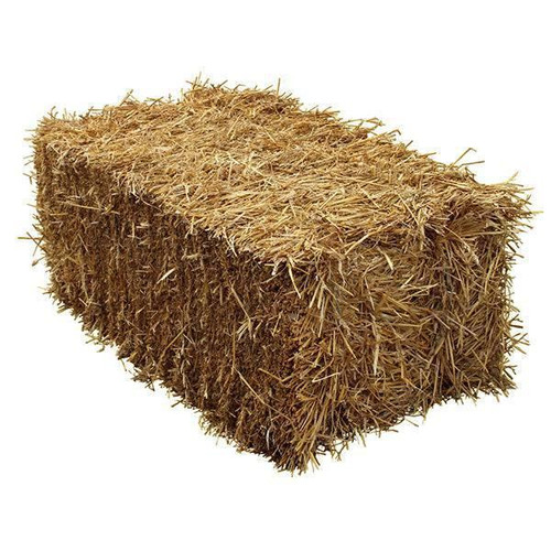 Hay Bales STRAW FULL BALE 158427 