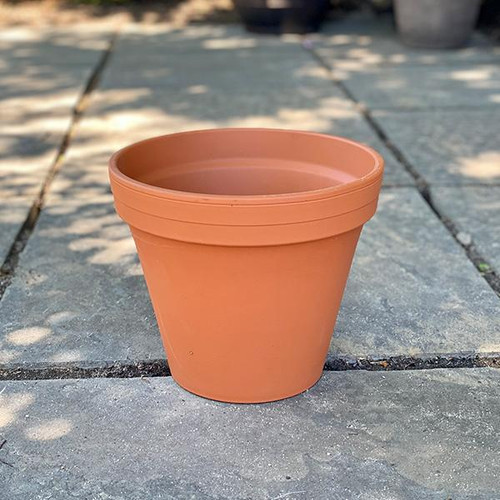 Standard Clay CLAY POT 10IN 