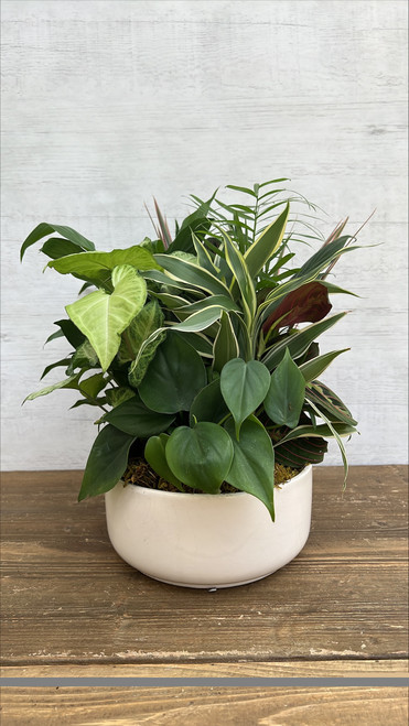 Dish Gardens 10"DISH GARDEN CERAMIC/METAL 