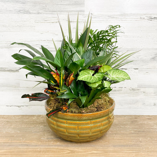 Dish Gardens 12"DISH GARDEN CERAMIC/METAL 