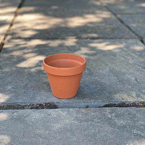 Standard Clay CLAY POT 4 IN 