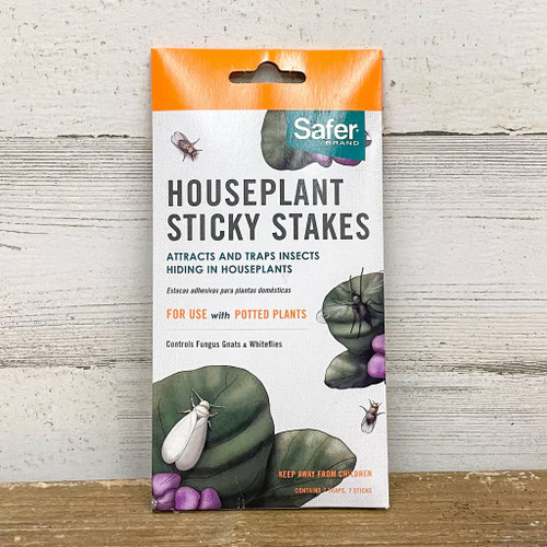 WTW 16PC PEST TRAP W/TIN