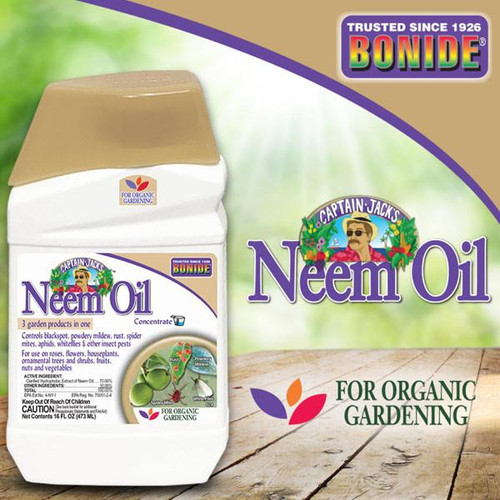 Water Soluable Insect. NEEM OIL PT CONC 