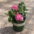  Hydrangea macrophylla SSD Hamptons 278222 