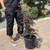  Acer palmatum Rhode Island Red 283612 
