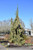 Chamacyparis Chamaecyparis nootkatensis Glauca Pendula 280171 