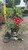 Other Rose Rosa Flower Carpet Red 2g 101951 