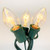 LIGHT SET C-7 CLEAR