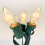 Light Sets LIGHT SET C-7 CLEAR 