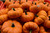 Pumpkins MUNCHKINS/JACK/WEE B LITTLE/CASPERITAS 163149 