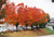 Other Dec. Tree Zelkova serrata Green Vase 170255 