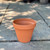 Standard Clay CLAY POT 8IN 