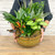Dish Gardens 12"DISH GARDEN CERAMIC/METAL 