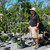 Juniperous Juniperus chinensis Torulosa 300410 