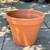 Standard Clay CLAY POT 18IN 