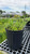 Other Sun Per. Achillea Saucy Seduction 216943 
