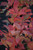 Itea virginica Little Henry 194980