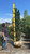  Taxus x media Flushing 253023 
