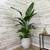 WHITE BIRD PARADISE 14"