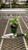 Up to 4" POTHOS PEARLS AND JADE 4" 