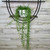 Cactus STRING OF DOLPHINS 6" HB 