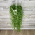 Cactus STRING OF BANANAS 6" HB 
