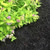 Soil Cond. SWEET PEET 1.5 CF 