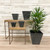 Plastic Pltr. Indoor POT ELLA SQ BLACK 14" 